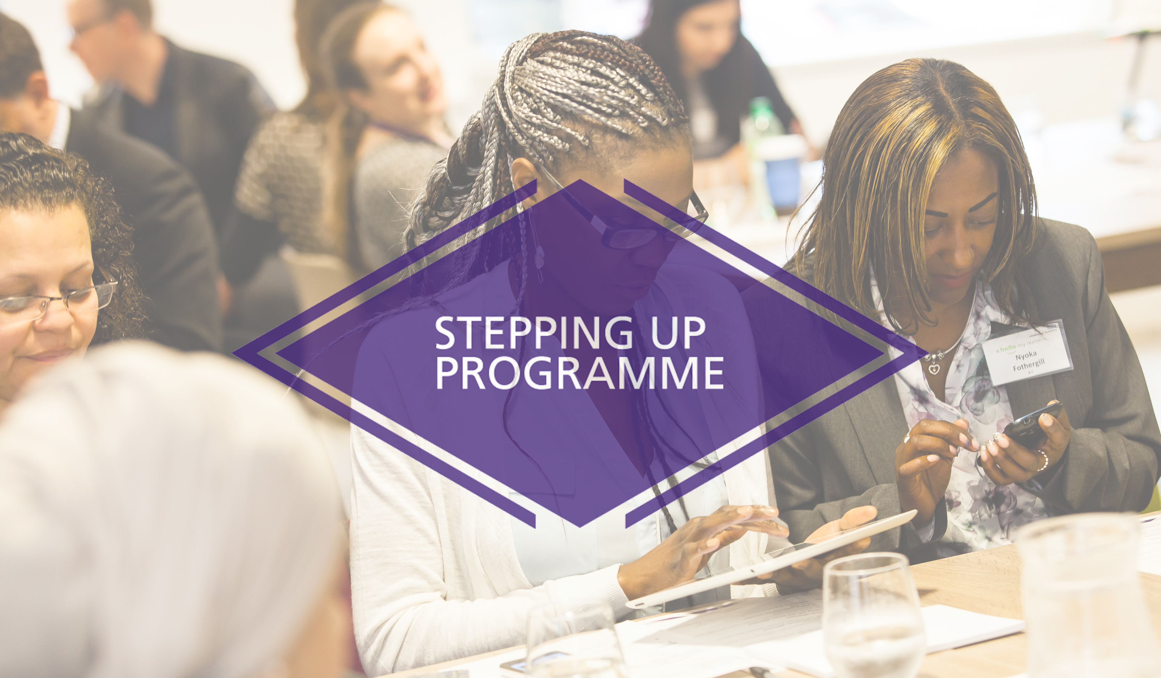 Stepping Up Programme