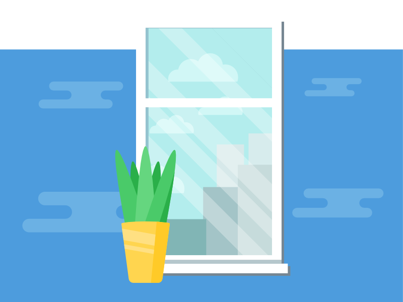 Plant by a window.